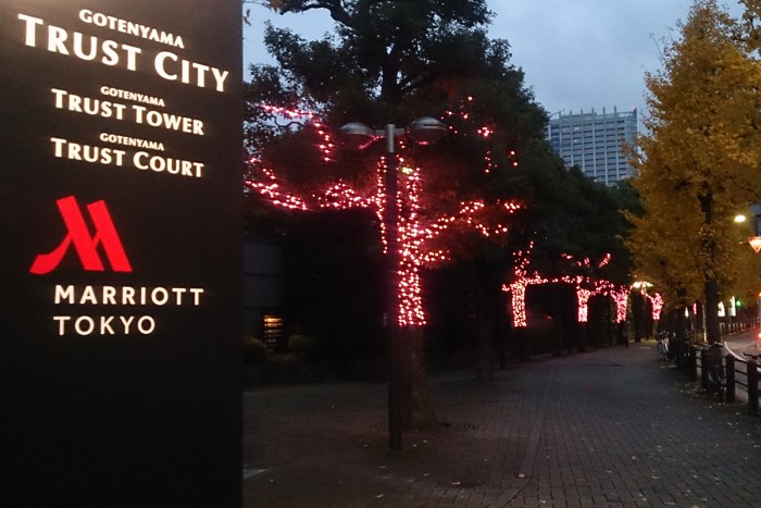 illumination featured the colors of cherry blossoms