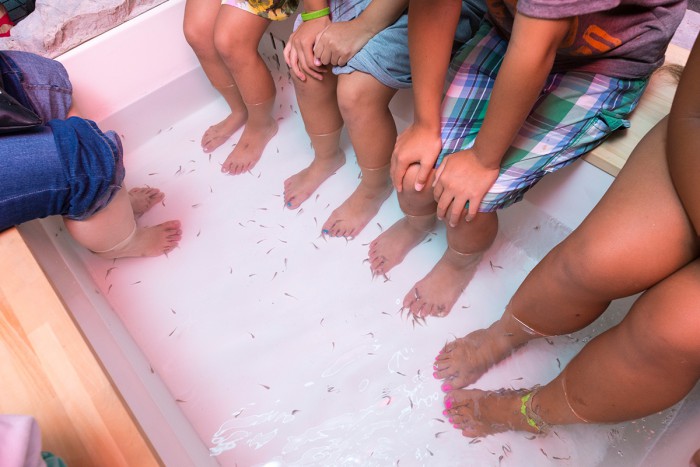 “fish therapy” provided by doctor fish who clean up dead skin cells