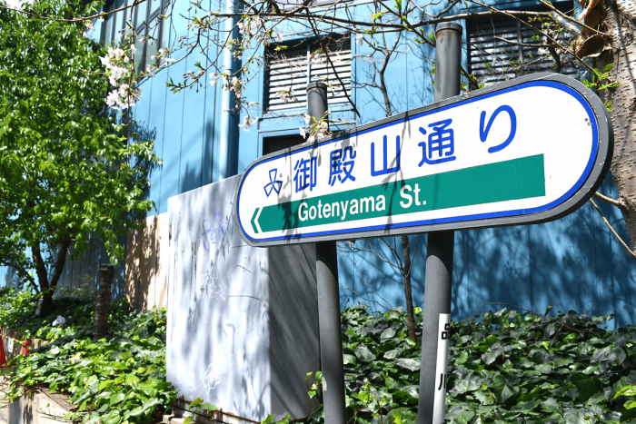 There are many spots to view the cherry blossoms alongside Gotenyama-Street.