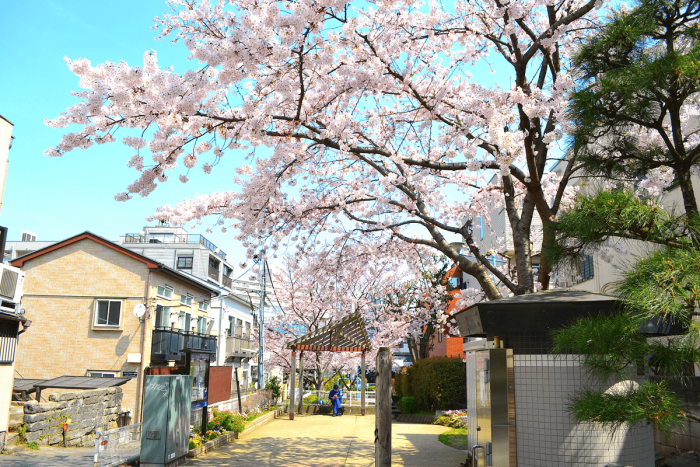 Hinkai Park, located alongside Kitashinagawa-Hondori