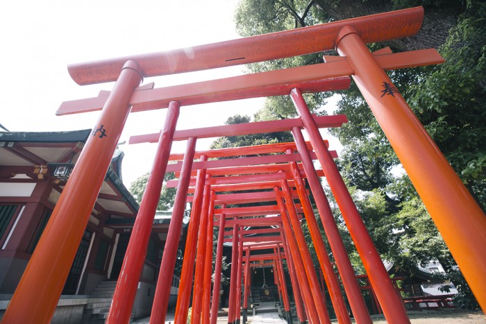 Vermilion-colored torii gates are lined up along a pathway which continues to the Ana Inari Shrine located beside the outer shrine.