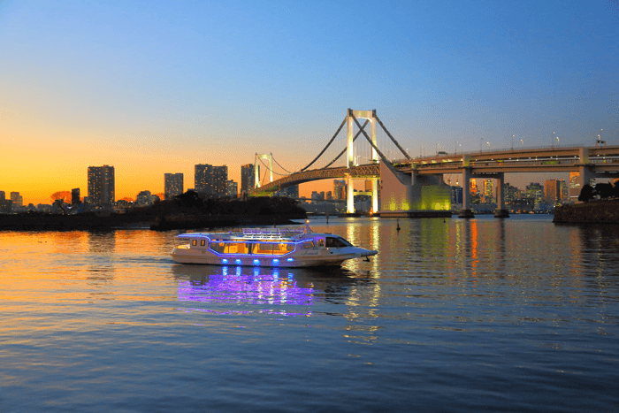 This cruiser-type boat can accommodate standing parties.