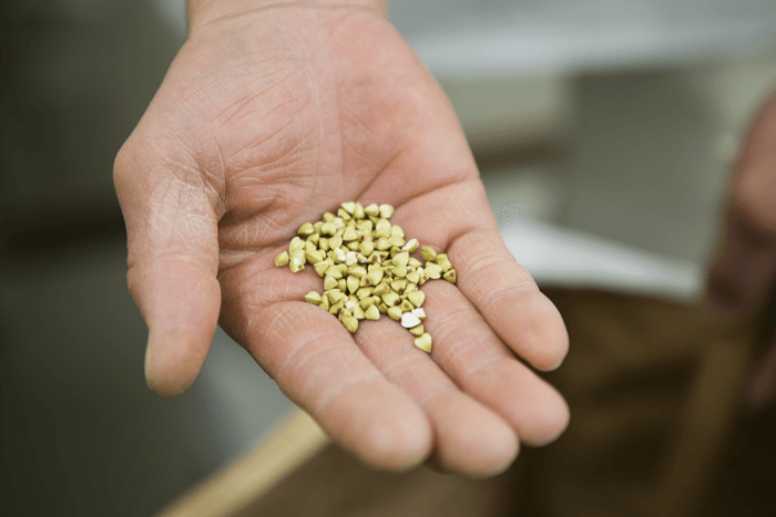 Soba grains are purchased with the hulls completely removed.