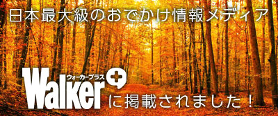 日本最大級のお出かけ情報メディア「ウォーカープラス」に掲載されました!